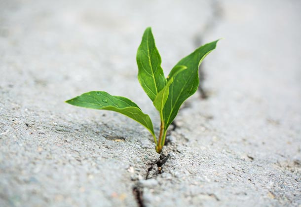 coaching-mit-achtung Coaching mit Achtung